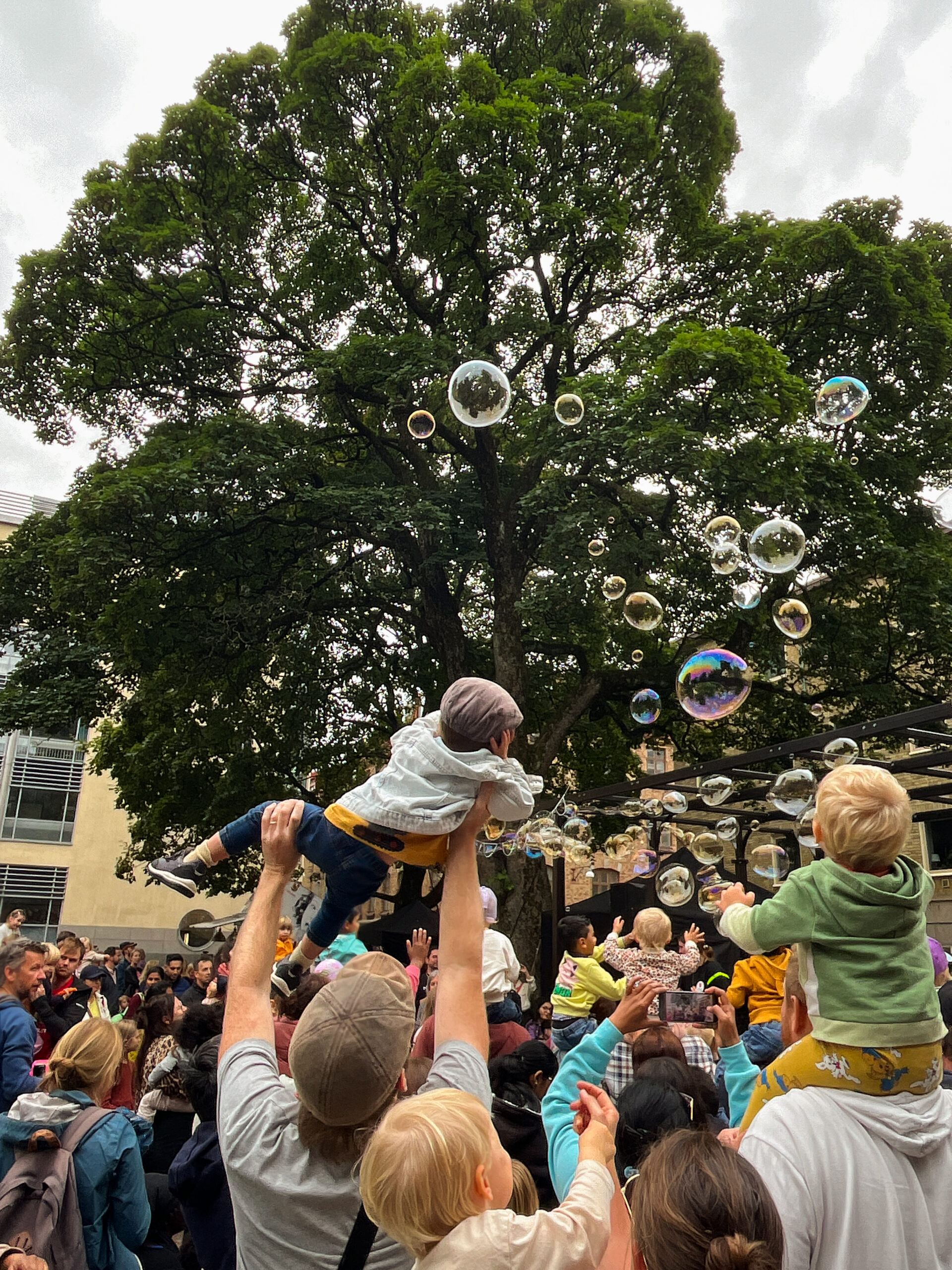 The focus of the photo is on a person holding up a small child who is reaching for large soap bubbles. In the background you can see a large green tree and lots of children and adults enthusiastically looking at soap bubbles.